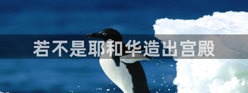 威九国际官网在线进入网站查询