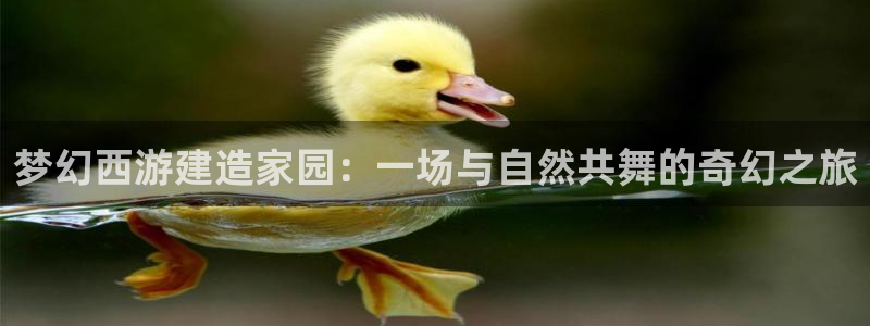 78mapp威九国际