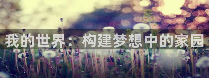 威九国际FF