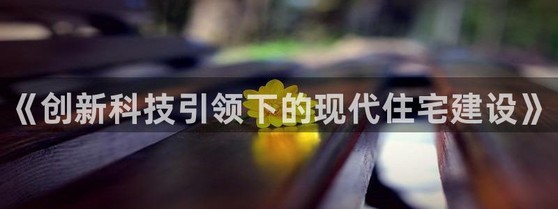 威九国际韩国