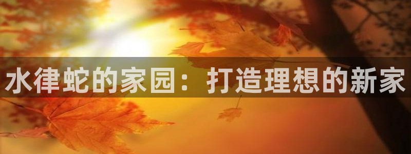 威九国际78mB官网版