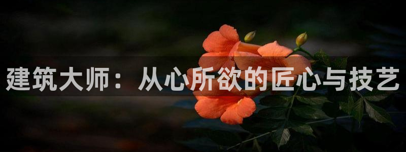 威九国际最近的视频