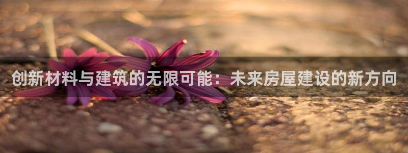 威九国际网站链接怎么打开