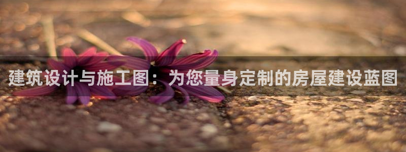 威九国际瘫痪丈夫眼见证：建筑设计与施工图：为您量身定制的房屋建设蓝图