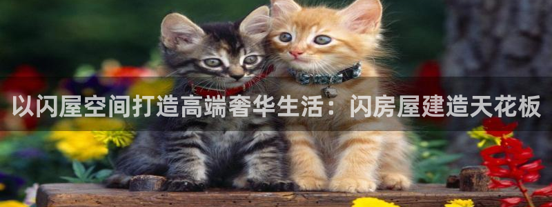 威九国际8ⅹ8x：以闪屋空间打造高端奢华生活：闪房屋建造天花板