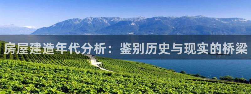 威九国际ppt免费下载：房屋建造年代分析：鉴别历史与现实的桥梁