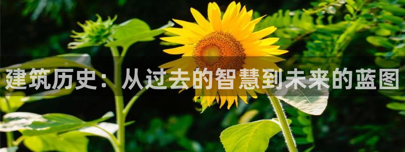 威九国际空降服务女演员名字：建筑历史：从过去的智慧到未来的蓝图