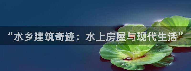 威九国际66m66官网