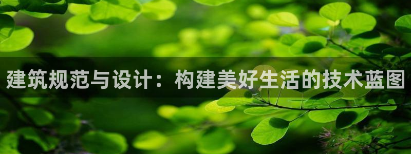 威九国际合作伙伴有哪些：建筑规范与设计：构建美好生活的技术蓝图