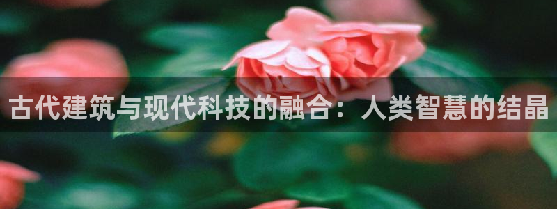 威九国际演员名单：古代建筑与现代科技的融合：人类智慧的结晶
