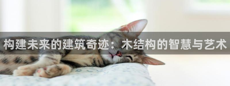 威九国际MM：构建未来的建筑奇迹：木结构的智慧与艺术