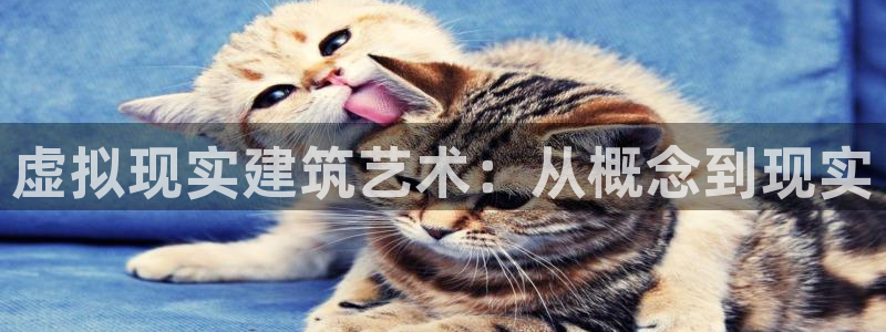 威九国际可以赚到钱：虚拟现实建筑艺术：从概念到现实