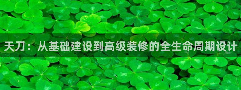 威九国际app网站：天刀：从基础建设到高级装修的全生命周期设计