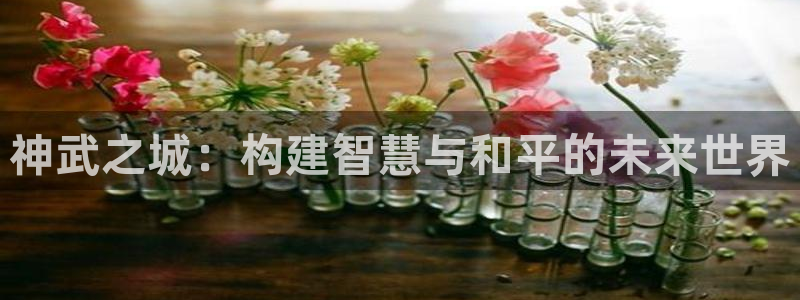 威九国际高清：神武之城：构建智慧与和平的未来世界