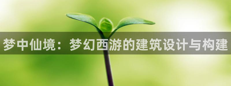 威九国际可以退钱吗怎么退款：梦中仙境：梦幻西游的建筑设计与构建