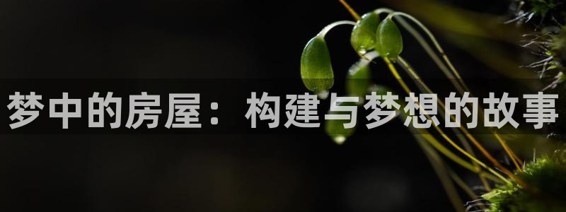 威九国际游戏app网址：梦中的房屋：构建与梦想的故事