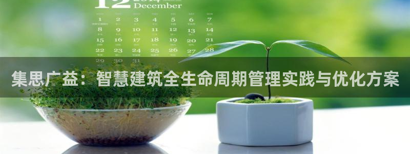威九国际集团66m一6：集思广益：智慧建筑全生命周期管理实践与优化方案