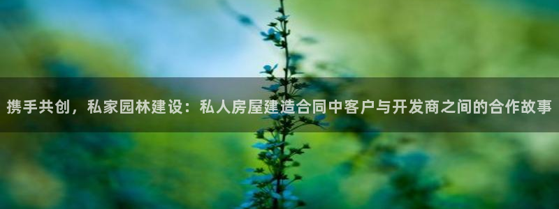 威九国际全国空降：携手共创，私家园林建设：私人房屋建造合同中客户与开发商之间的合作故事