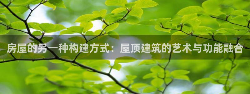 威九国际清砖码头在哪：房屋的另一种构建方式：屋顶建筑的艺术与功能融合