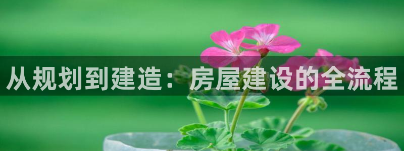 威九国际下载：从规划到建造：房屋建设的全流程