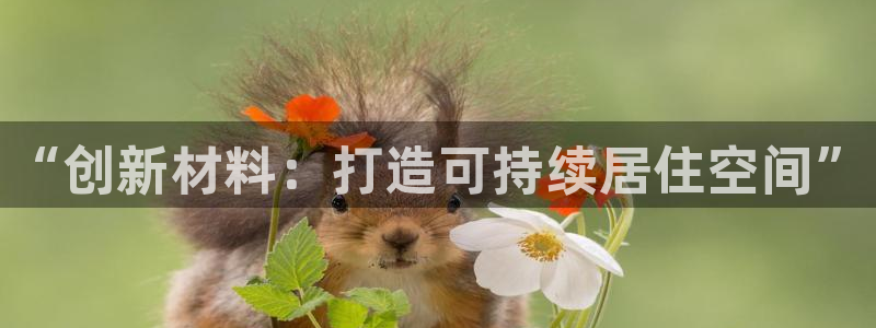 保定威九网络科技有限公司是干嘛的：“创新材料：打造可持续居住空间”