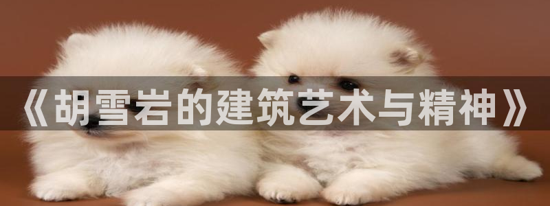 威九国际app入口在哪：《胡雪岩的建筑艺术与精神》