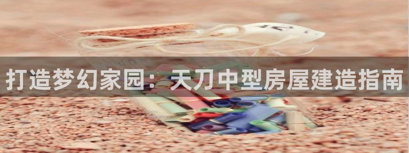 78mapp威九国际成长视频：打造梦幻家园：天刀中型房屋建造指南