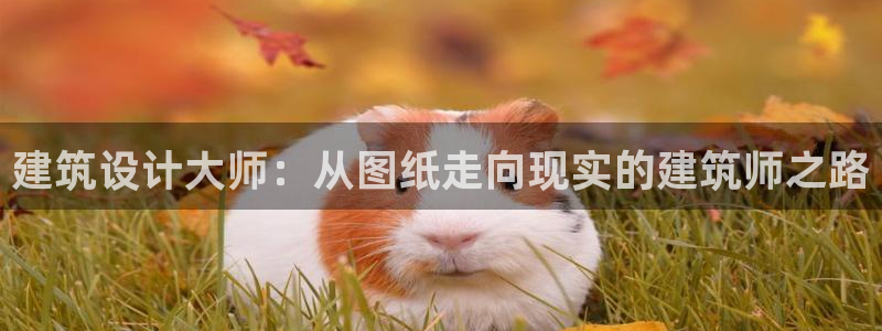 威九国际女星：建筑设计大师：从图纸走向现实的建筑师之路