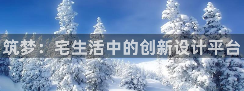 威九国际电子游戏：筑梦：宅生活中的创新设计平台