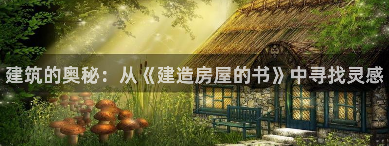 威九国际的金融服务有哪些：建筑的奥秘：从《建造房屋的书》中寻找灵感