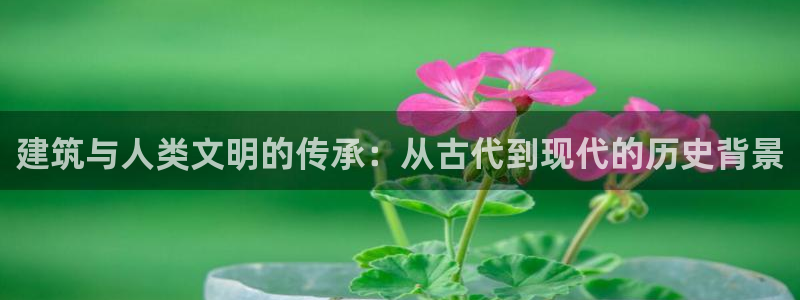 威九国际精彩推荐：建筑与人类文明的传承：从古代到现代的历史背景