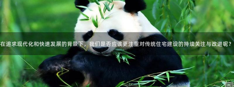 保定威九网络科技有限公司招聘：在追求现代化和快速发展的背景下，我们是否应该更注重对传统住宅建设的持续关注与改进呢？