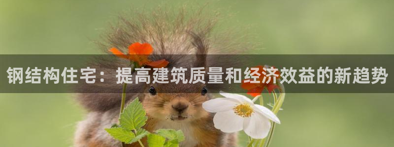 威九国际软件：钢结构住宅：提高建筑质量和经济效益的新趋势