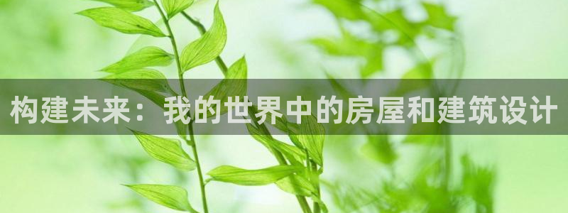 威九国际取款不到账：构建未来：我的世界中的房屋和建筑设计