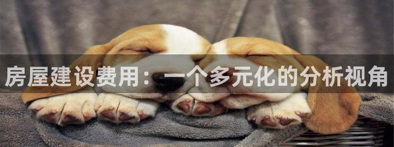 威九国际网站进入客服中心怎么进：房屋建设费用：一个多元化的分析视角