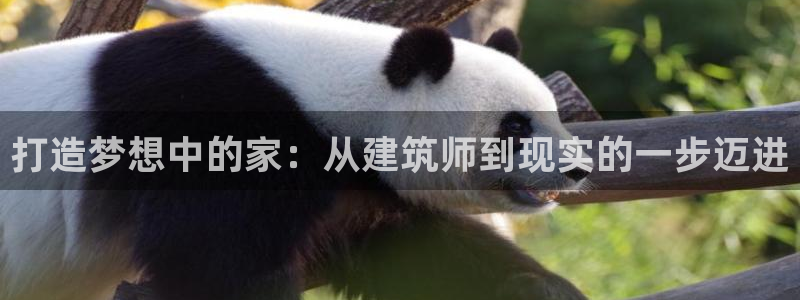 威九国际78ma：打造梦想中的家：从建筑师到现实的一步迈进