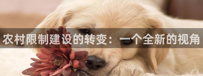 威九国际X8：农村限制建设的转变：一个全新的视角