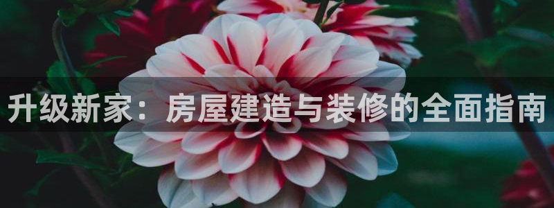 威九国际78m小说：升级新家：房屋建造与装修的全面指南