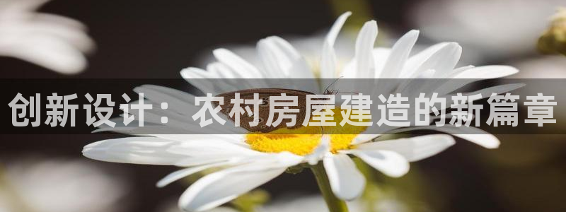 威九国际78ma：创新设计：农村房屋建造的新篇章