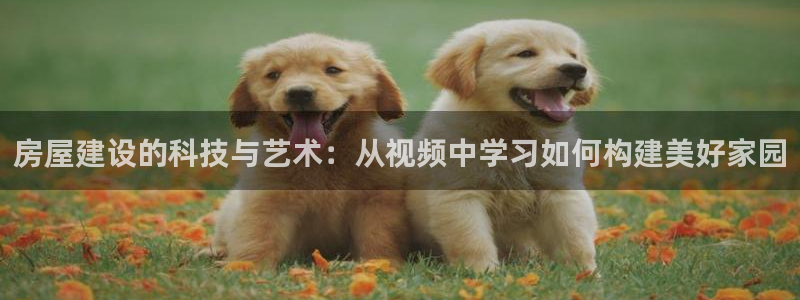威九国际精免费下载：房屋建设的科技与艺术：从视频中学习如何构建美好家园