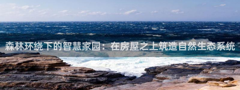 66m威九国际成长模式