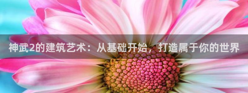 威九国际的金融服务怎么样