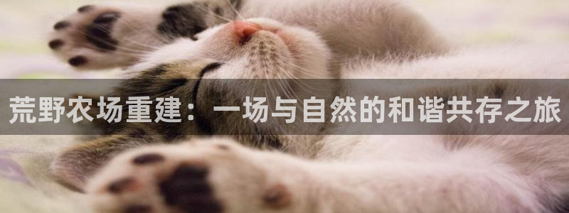 威九国际78mb游戏：荒野农场重建：一场与自然的和谐共存之旅
