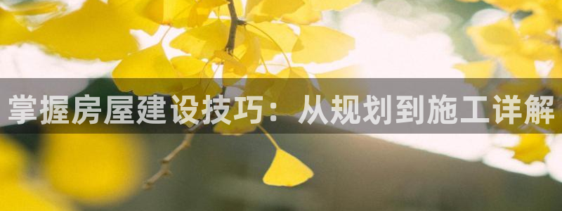 威九国际MM