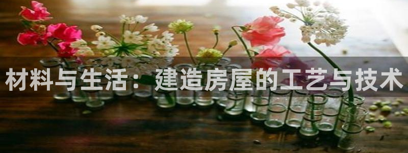 威九国际可以提现吗安全吗：材料与生活：建造房屋的工艺与技术