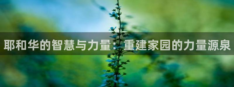 威九国际旗下艺人有谁：耶和华的智慧与力量：重建家园的力量源泉