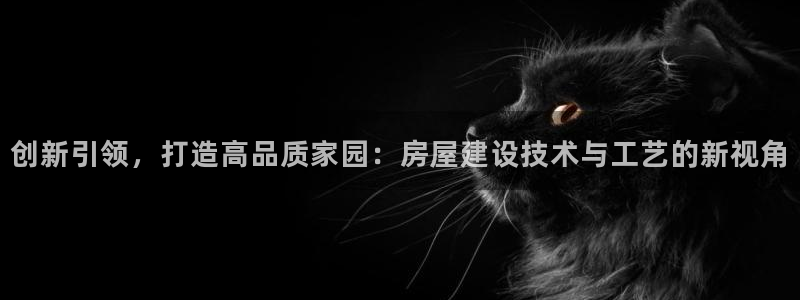 威九国际韩国：创新引领，打造高品质家园：房屋建设技术与工艺的新视角