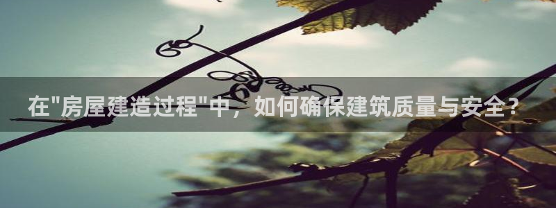 威九国际真人游戏：在\