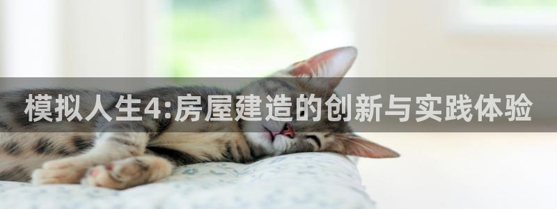 威九国际网站入口地址：模拟人生4:房屋建造的创新与实践体验
