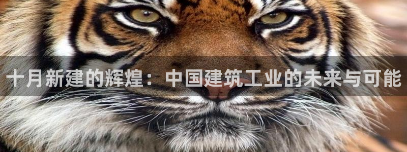 威九国际网站经常打不开怎么办：十月新建的辉煌：中国建筑工业的未来与可能